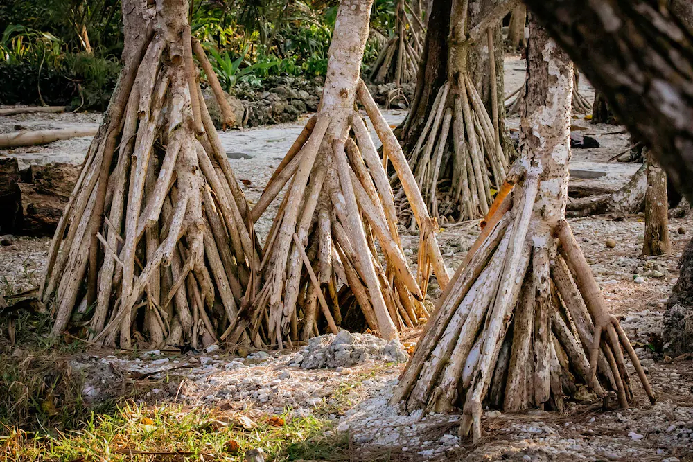 Nakatumble