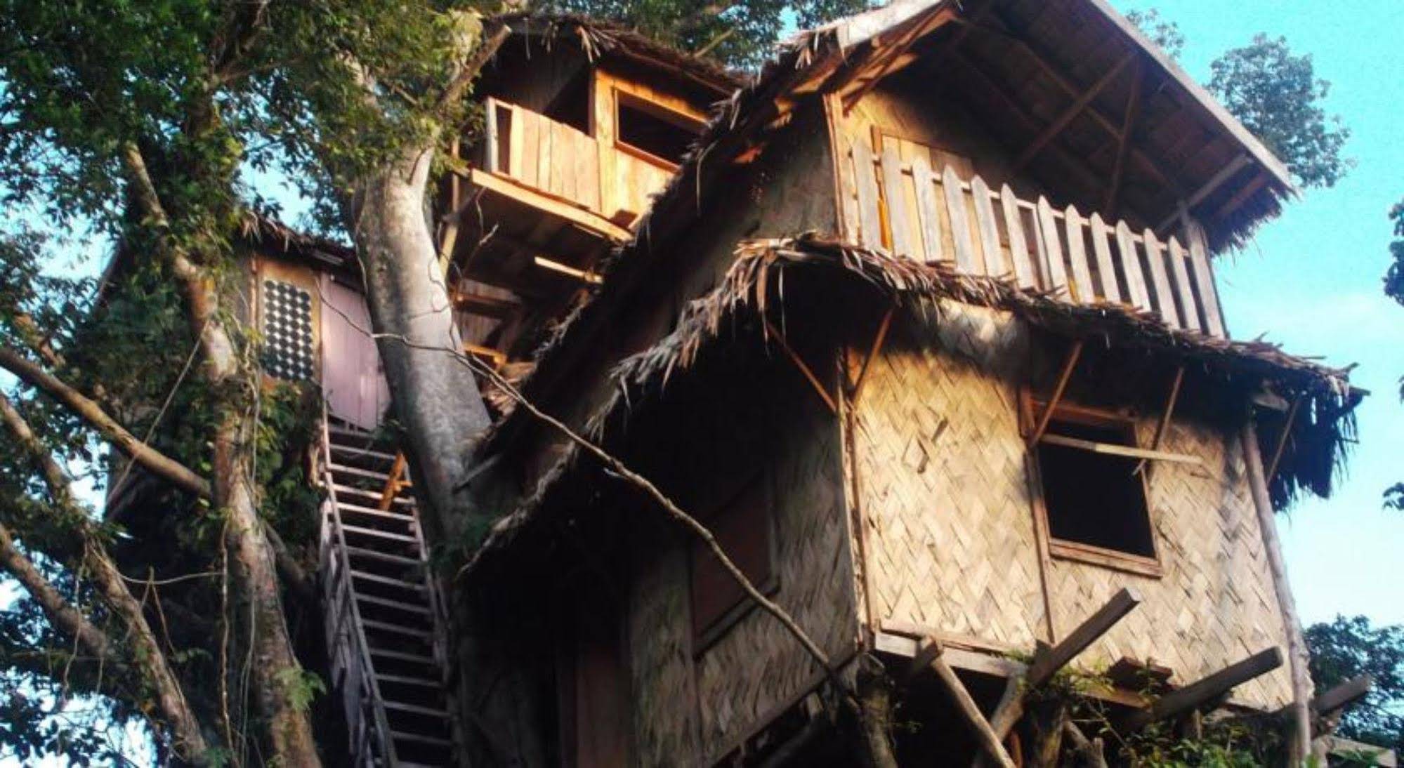 Tanna Lava View Bungalows