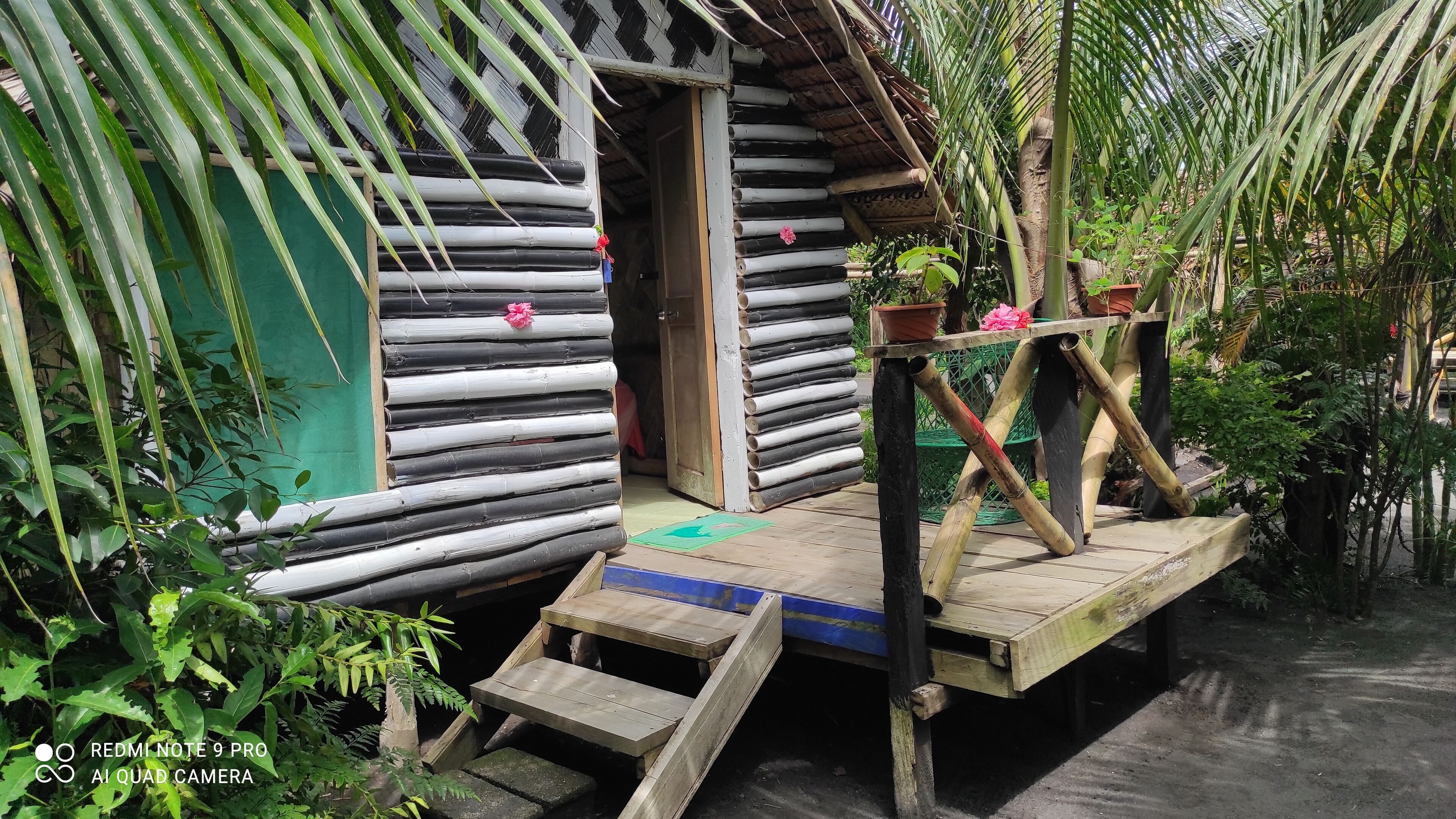 Jungle Oasis Bungalows