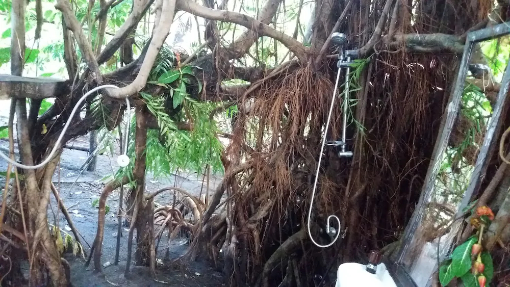 Tanna Eco Venture Bungalow