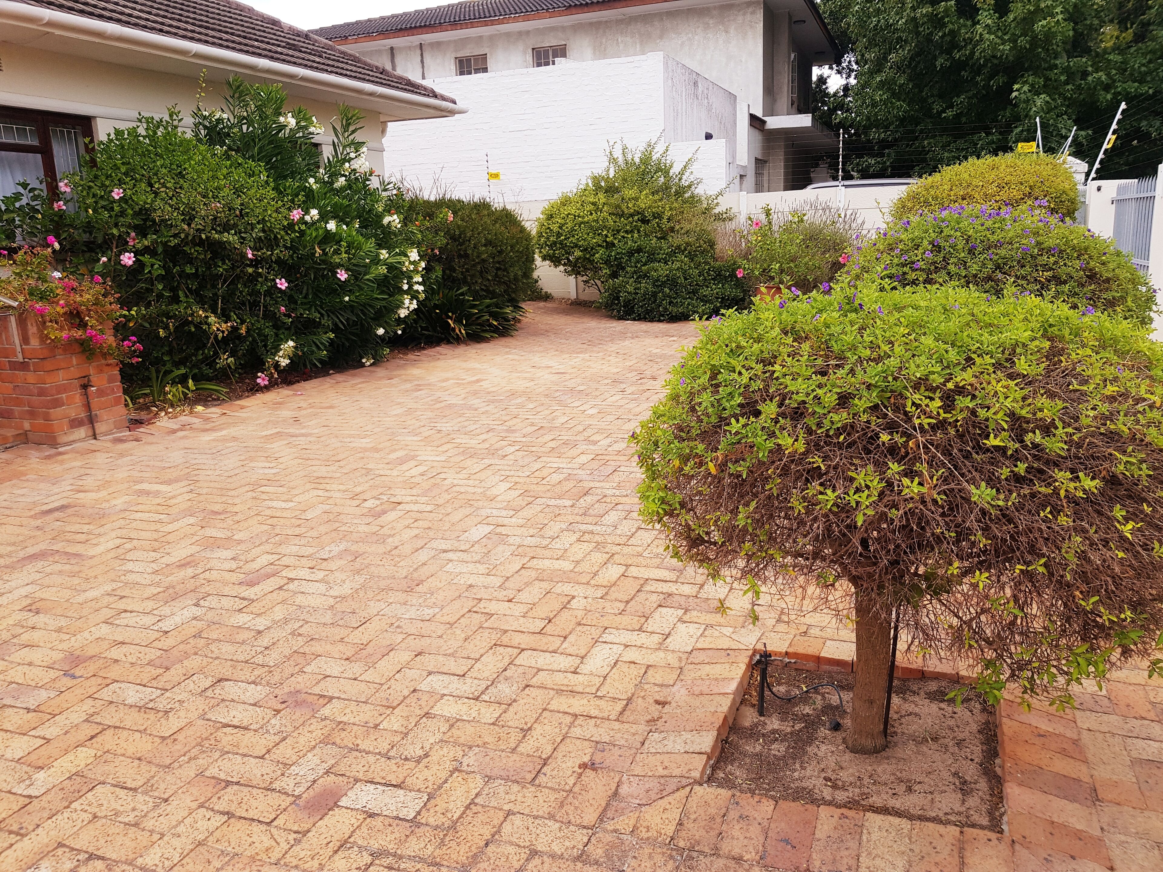 Executive Accommodation Bellville