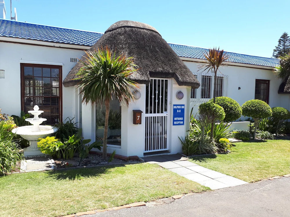 Dolphin Inn Guest House