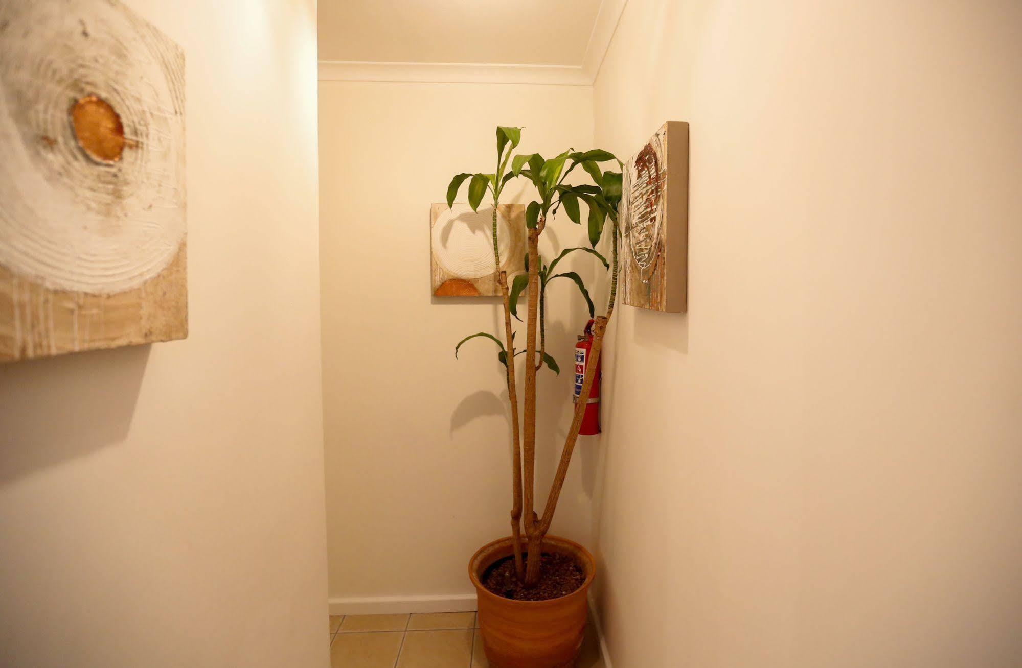 Secret Garden Guesthouse