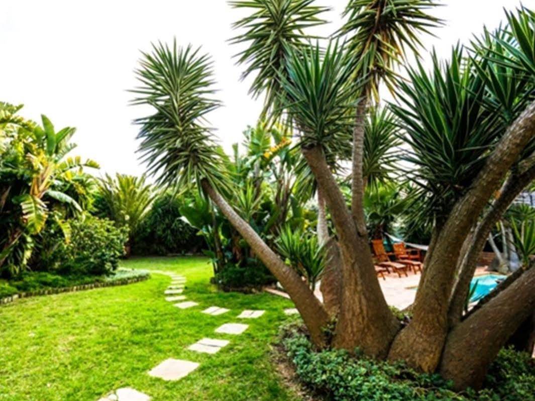 Secret Garden Guesthouse