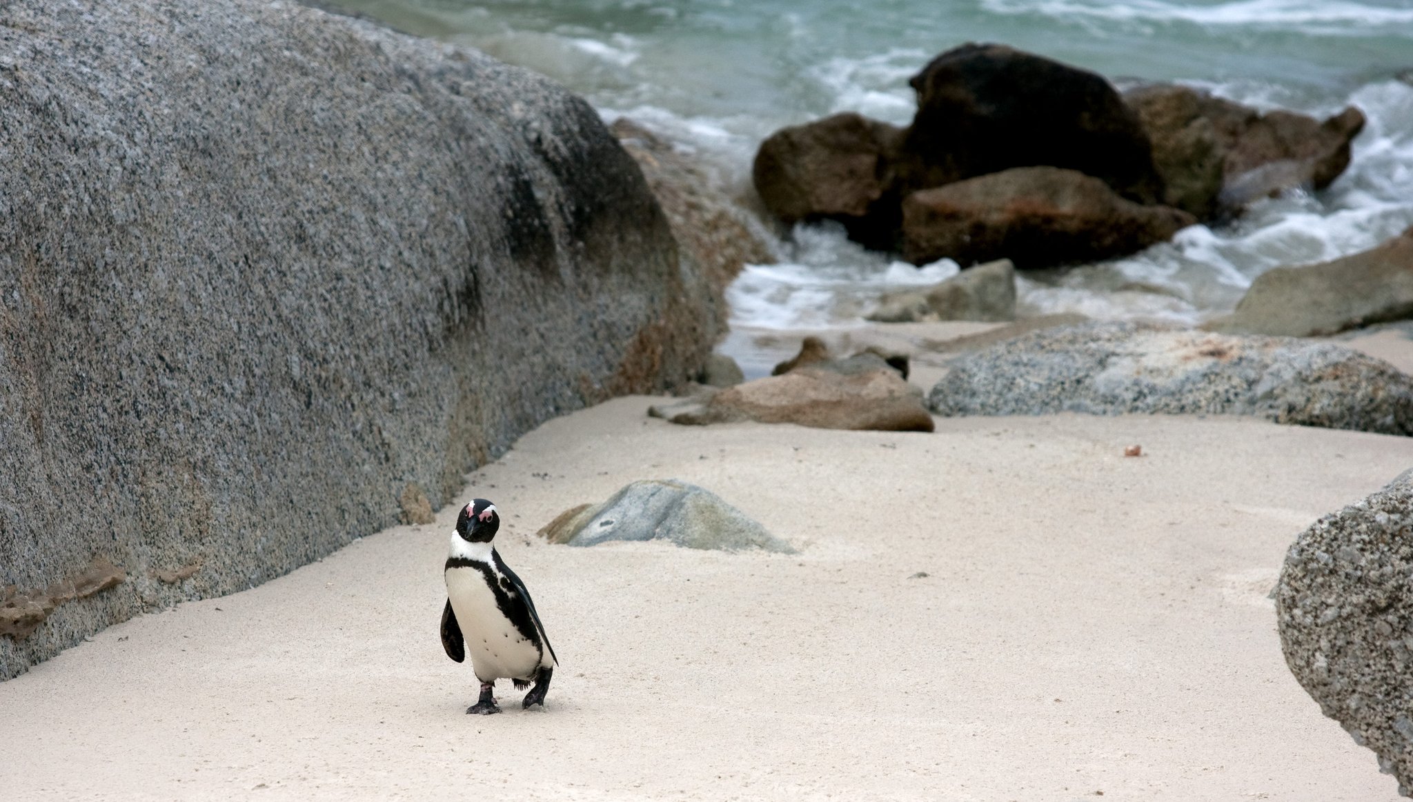The Twelve Apostles Hotel and Spa