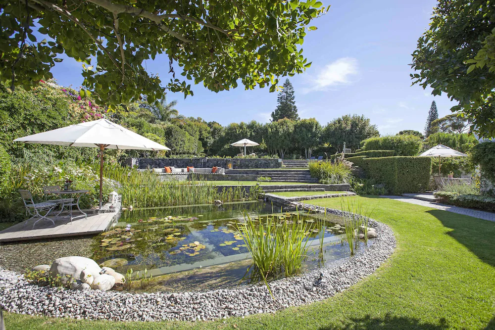 14 on Klein Constantia