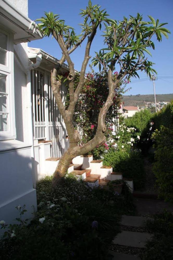 5 Camp Street Guesthouse & Self-catering