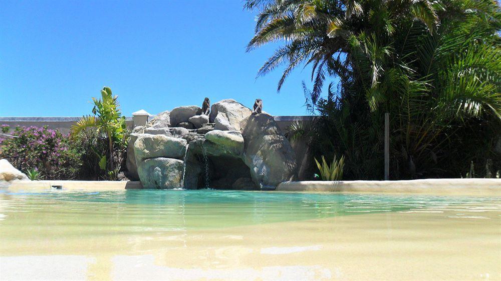 Afro Chic Guest House