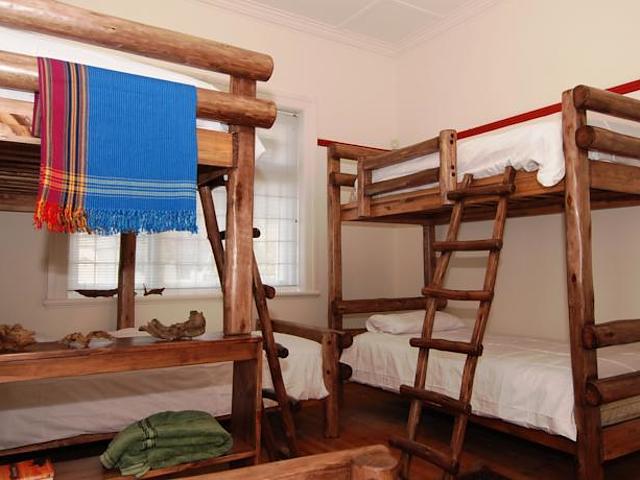 Amber Tree Lodge