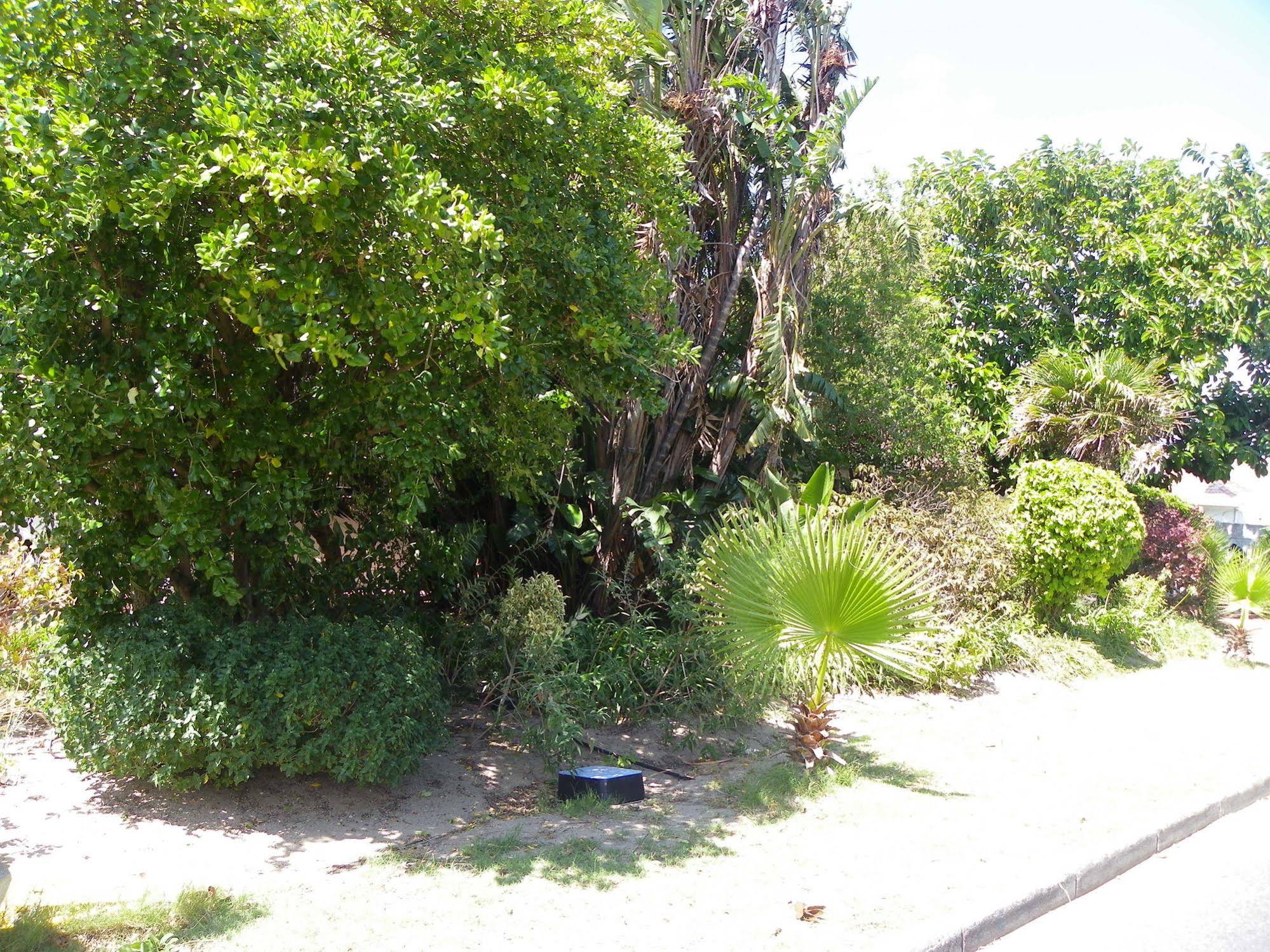 Cape Town Palms Bed and Breakfast & Self Catering Guest House