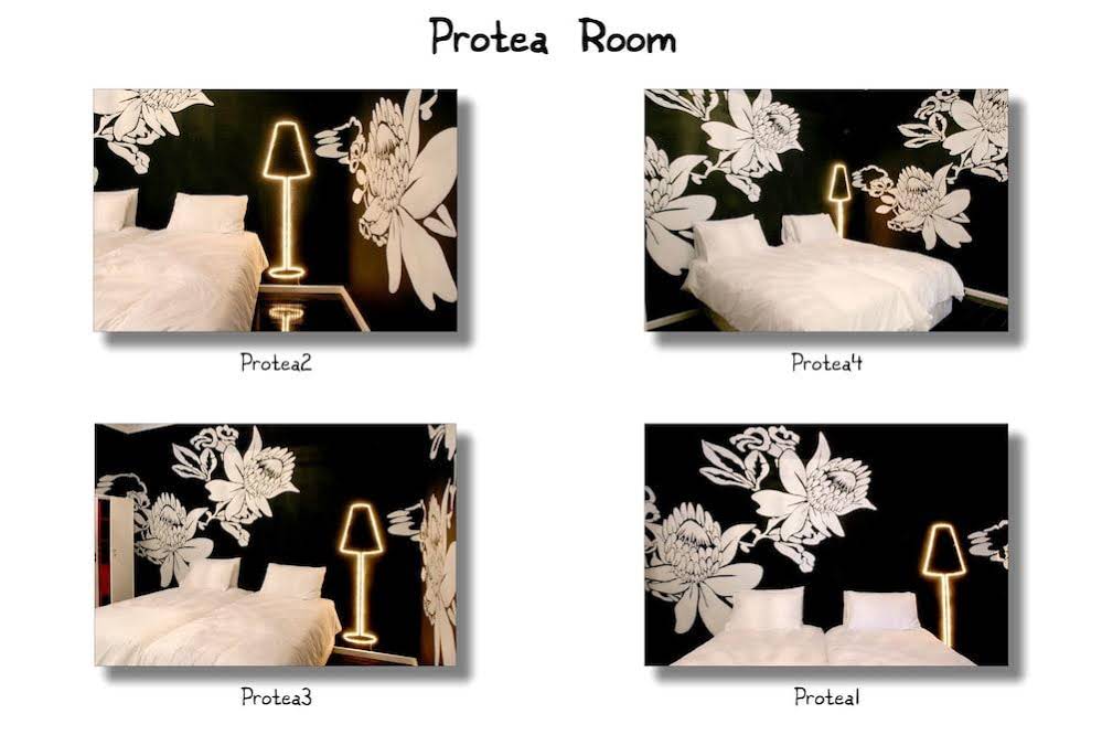 Daddy Long Legs Art-Hotel