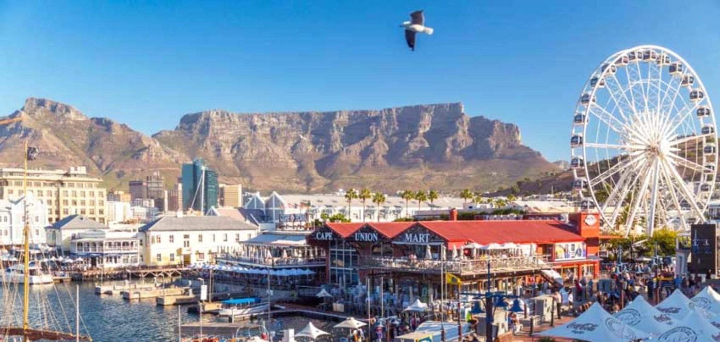 Four Seasons Apartments by CTHA