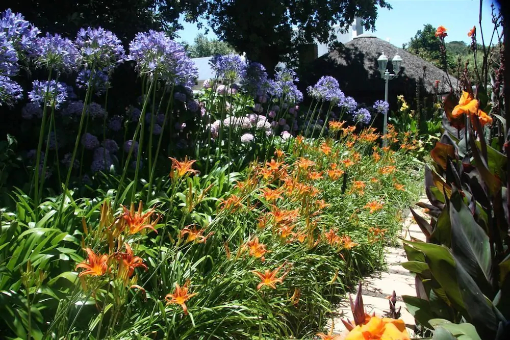 Glen Avon Lodge Boutique Hotel