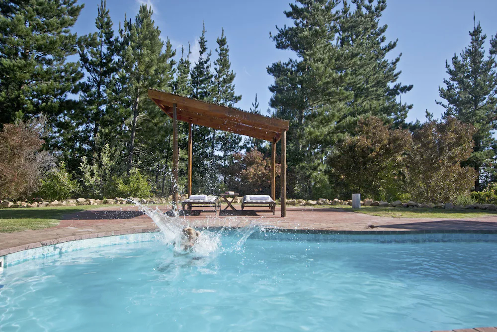Lalapanzi Lodge
