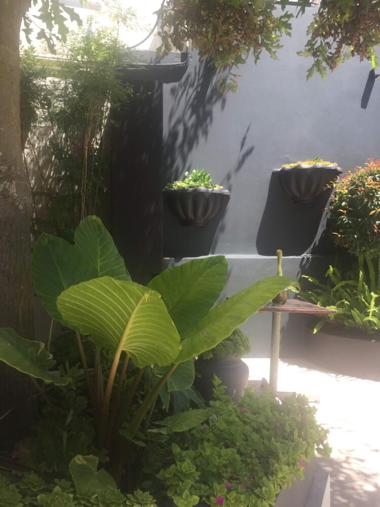 Little Scotia Guest House