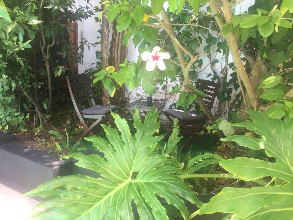 Little Scotia Guest House