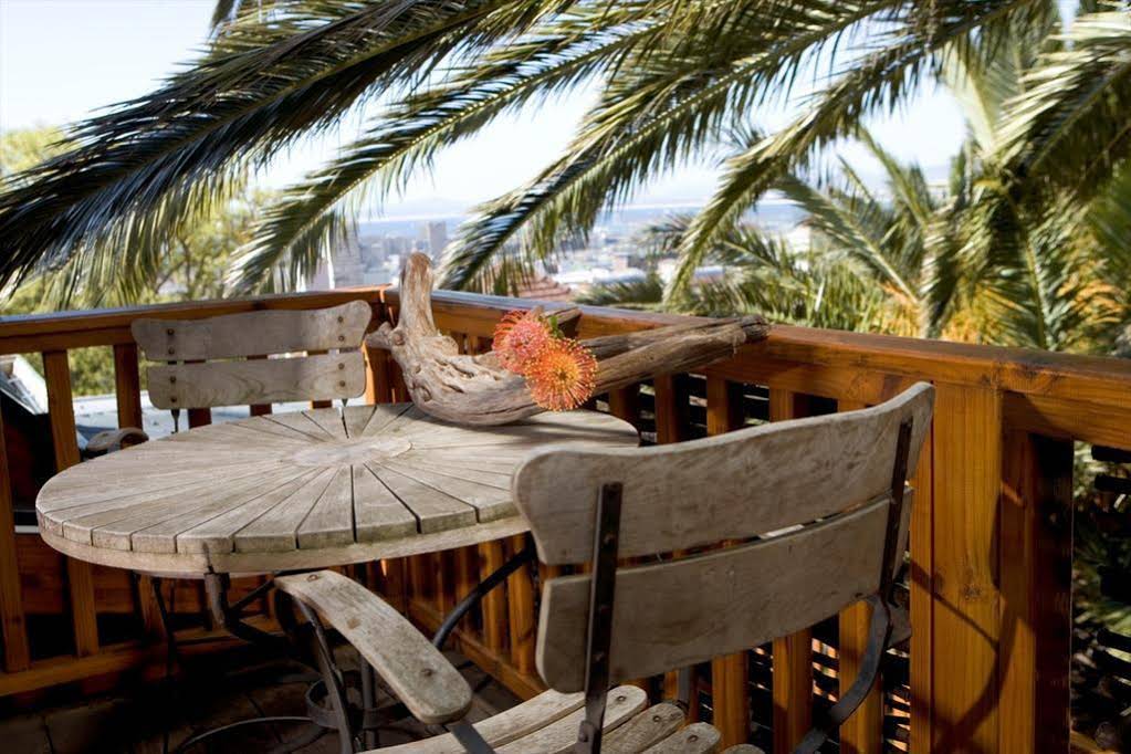 Lézard Bleu Guesthouse