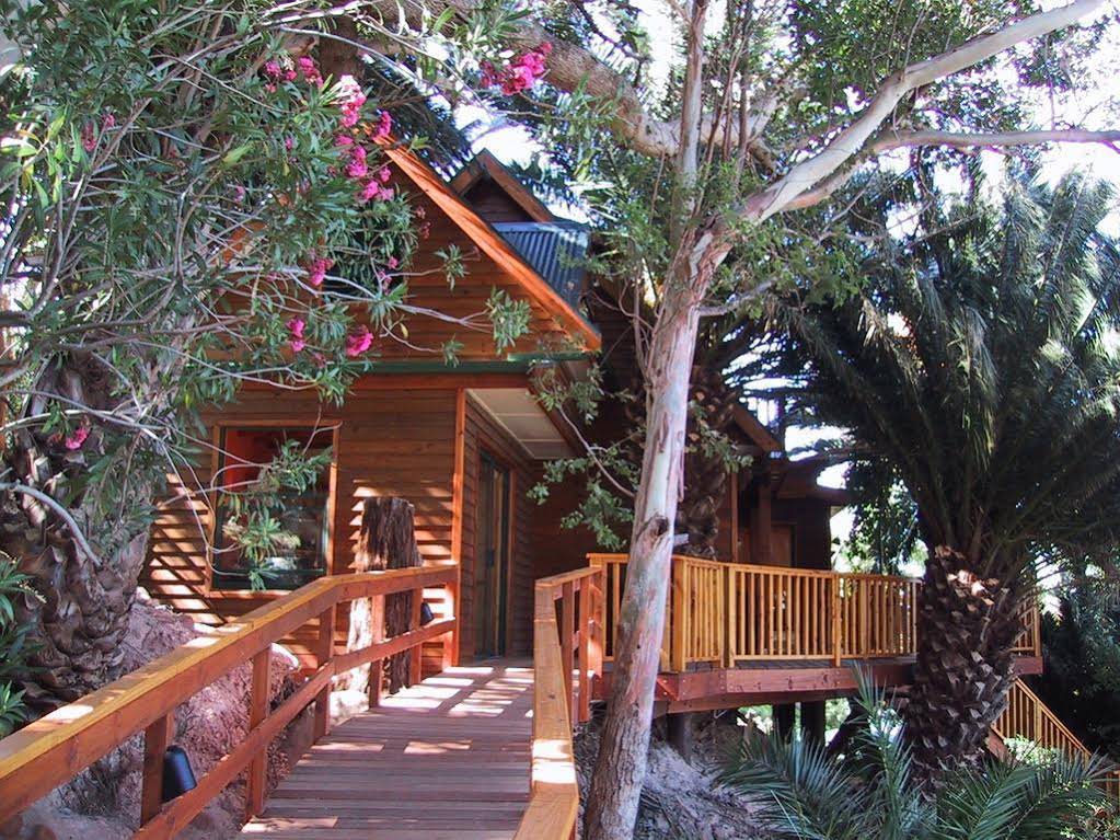 Lézard Bleu Guesthouse