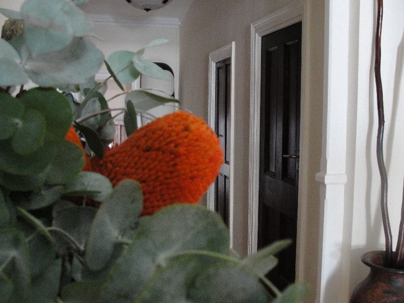 Mountview Guest House