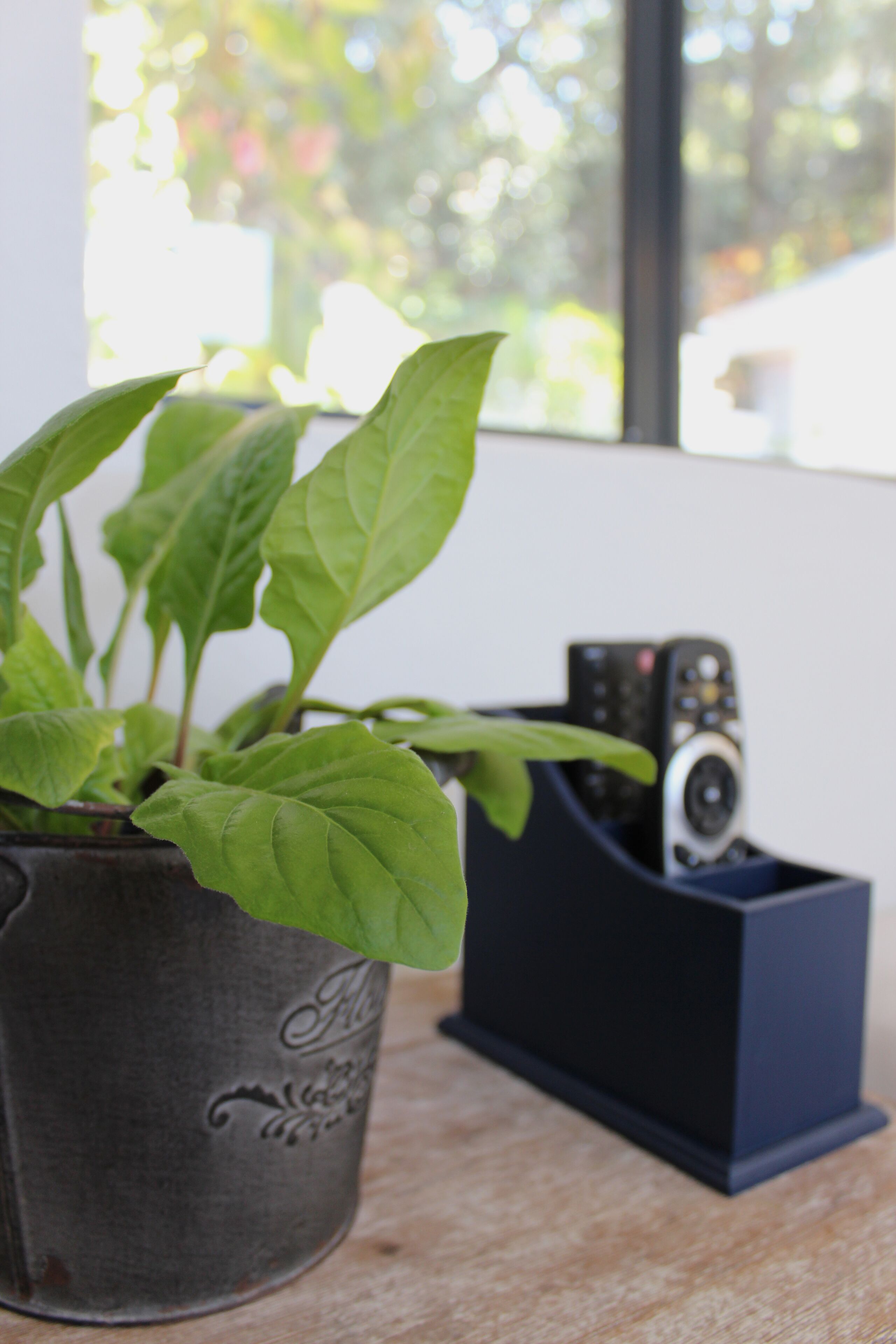 The High Street Accommodation