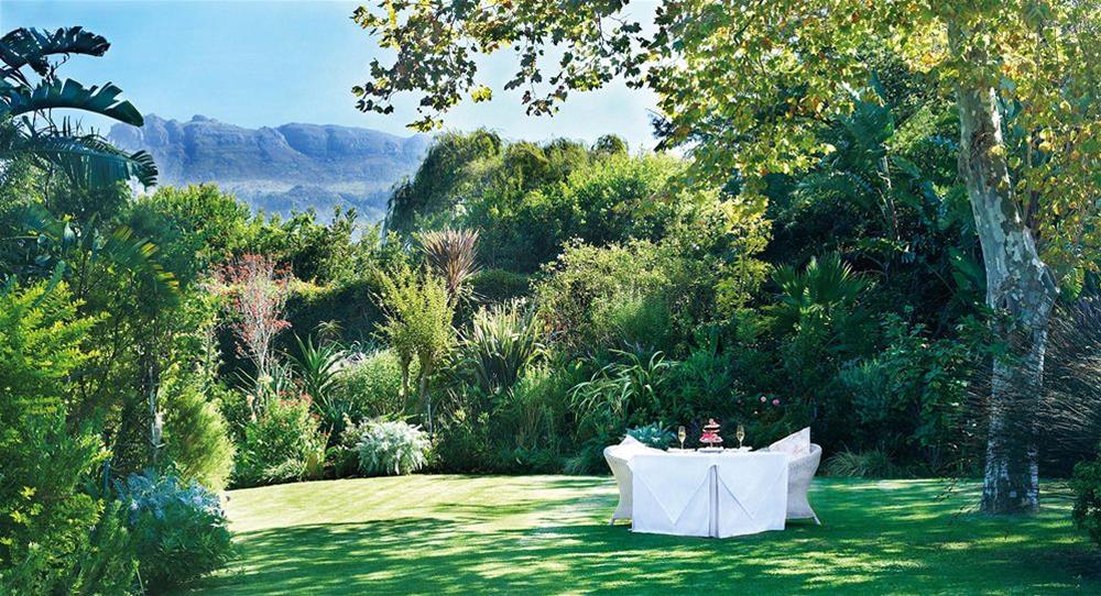 Last Word Constantia