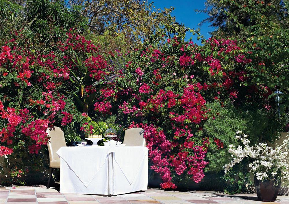 Last Word Constantia