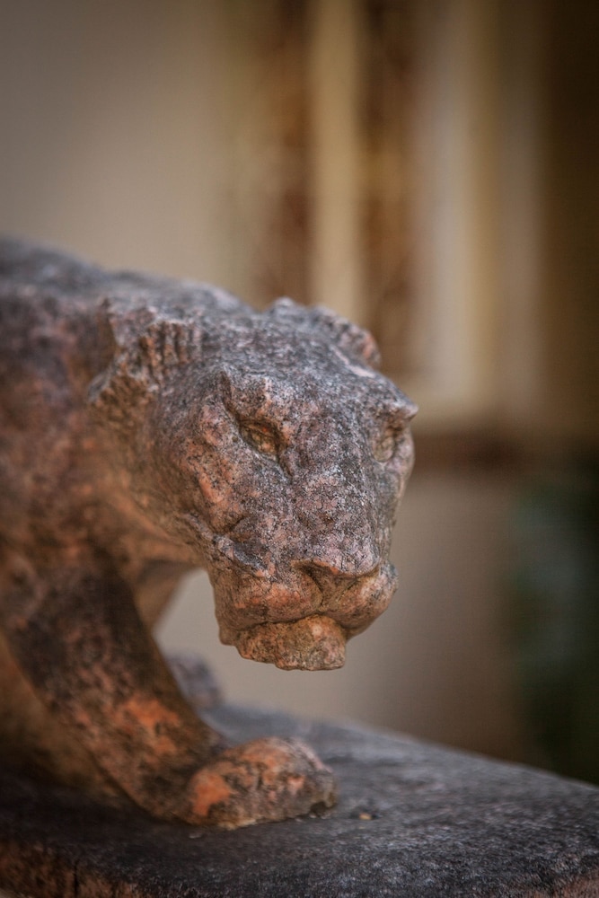The Lions Guesthouse