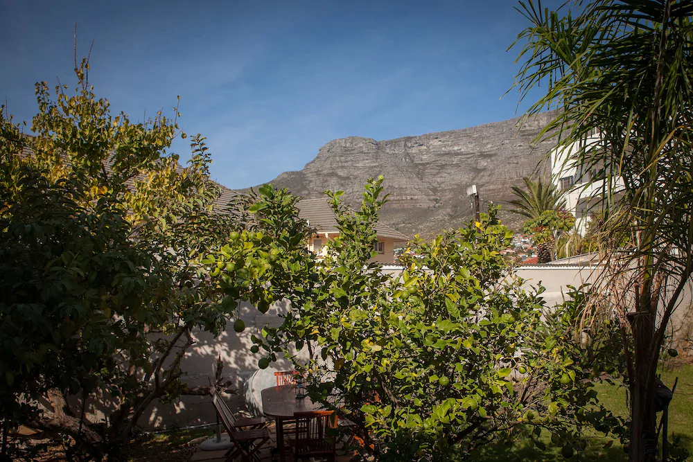 The Lions Guesthouse