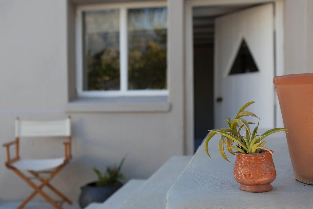 The Lions Guesthouse
