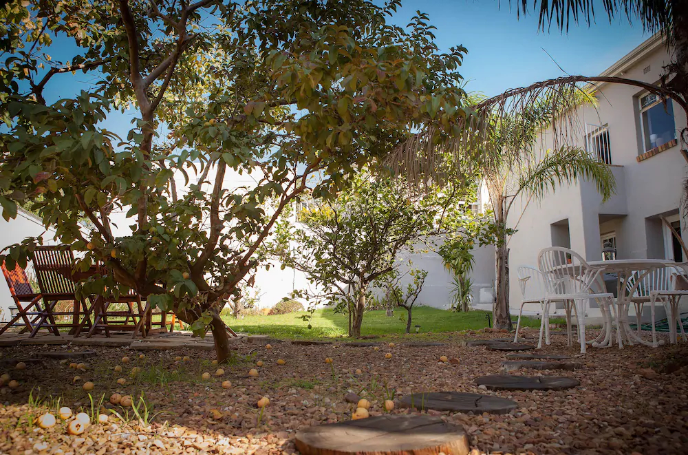 The Lions Guesthouse