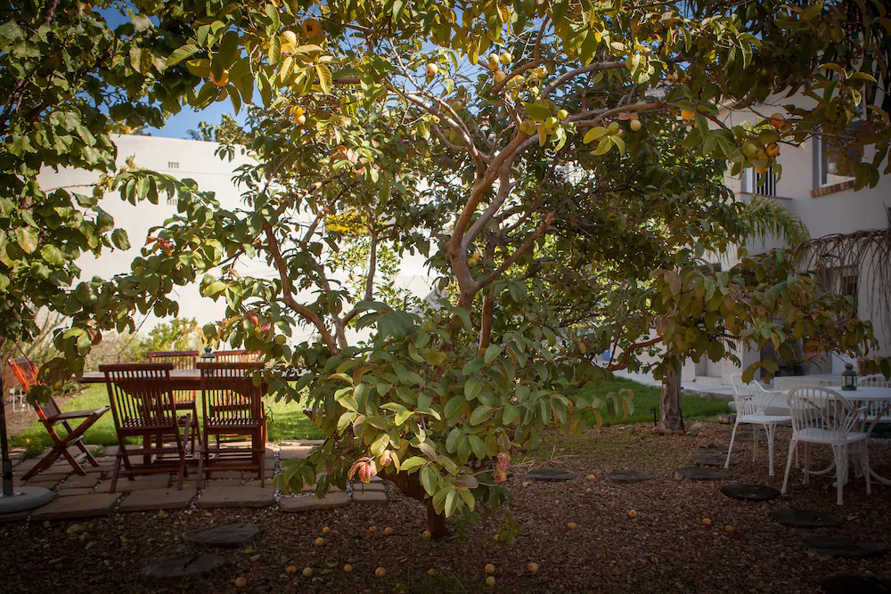 The Lions Guesthouse