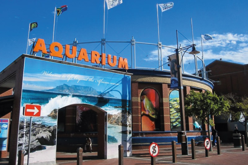 V&A Waterfront Village