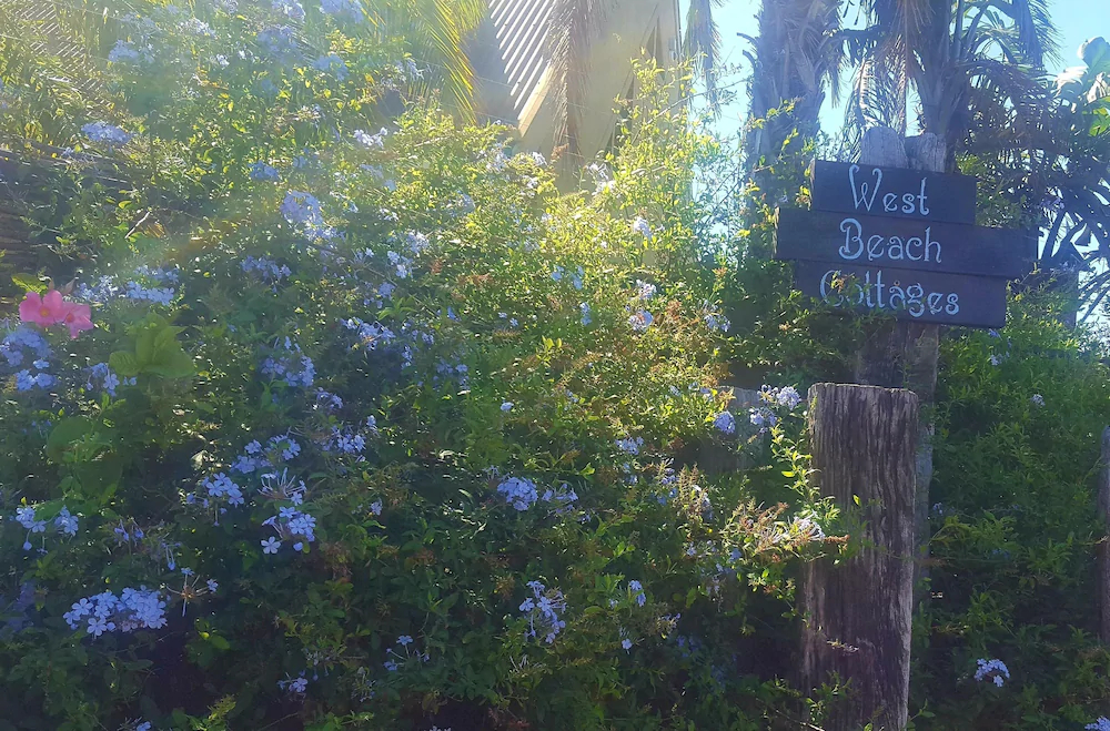 West Beach Cottages