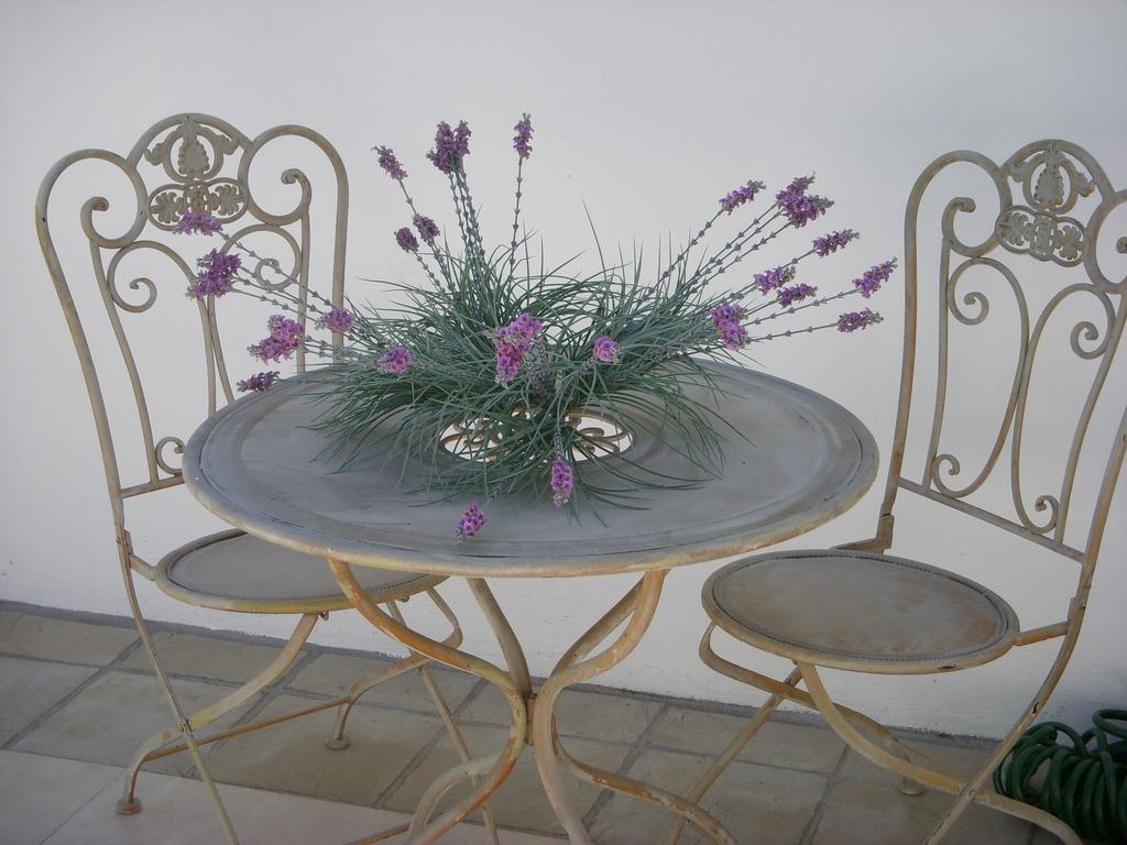 White Lodge Constantia Guest House