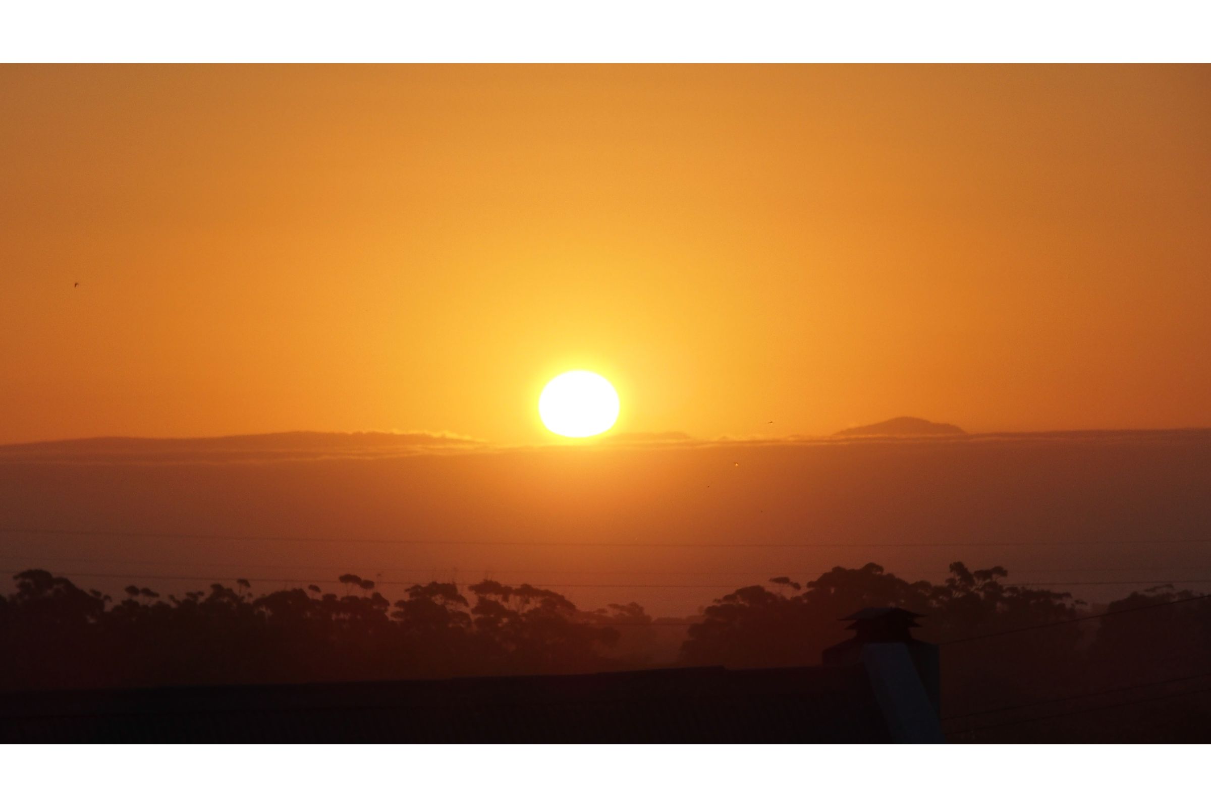 Wind-Rose Guest House