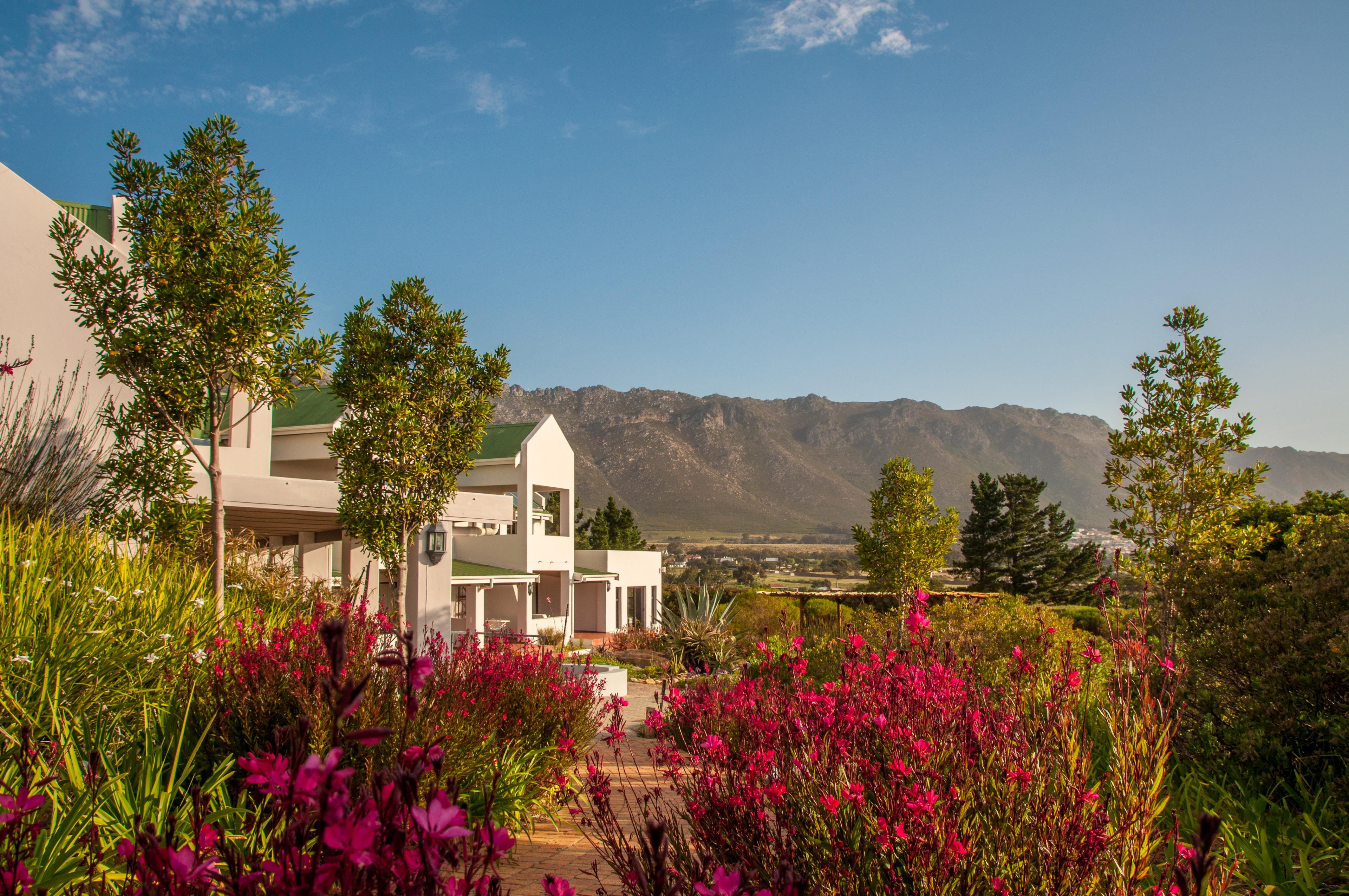 Wind-Rose Guest House