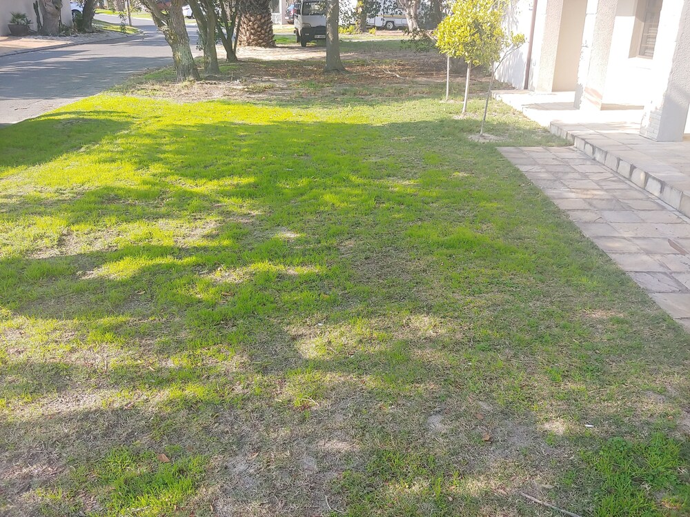 Zenith House Lodge Welgelegen