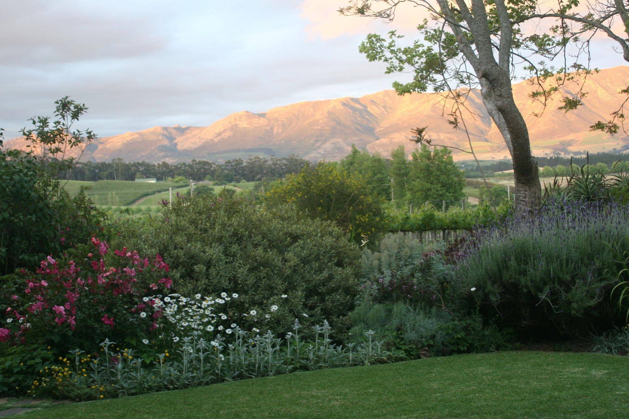 Belfield Farm
