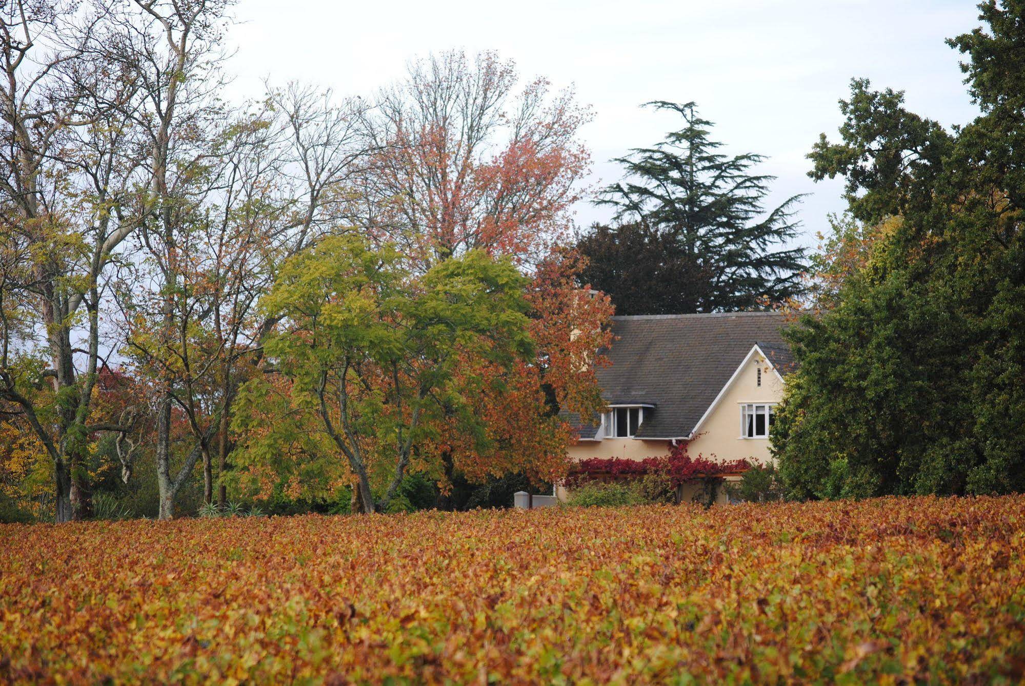 Belfield Farm