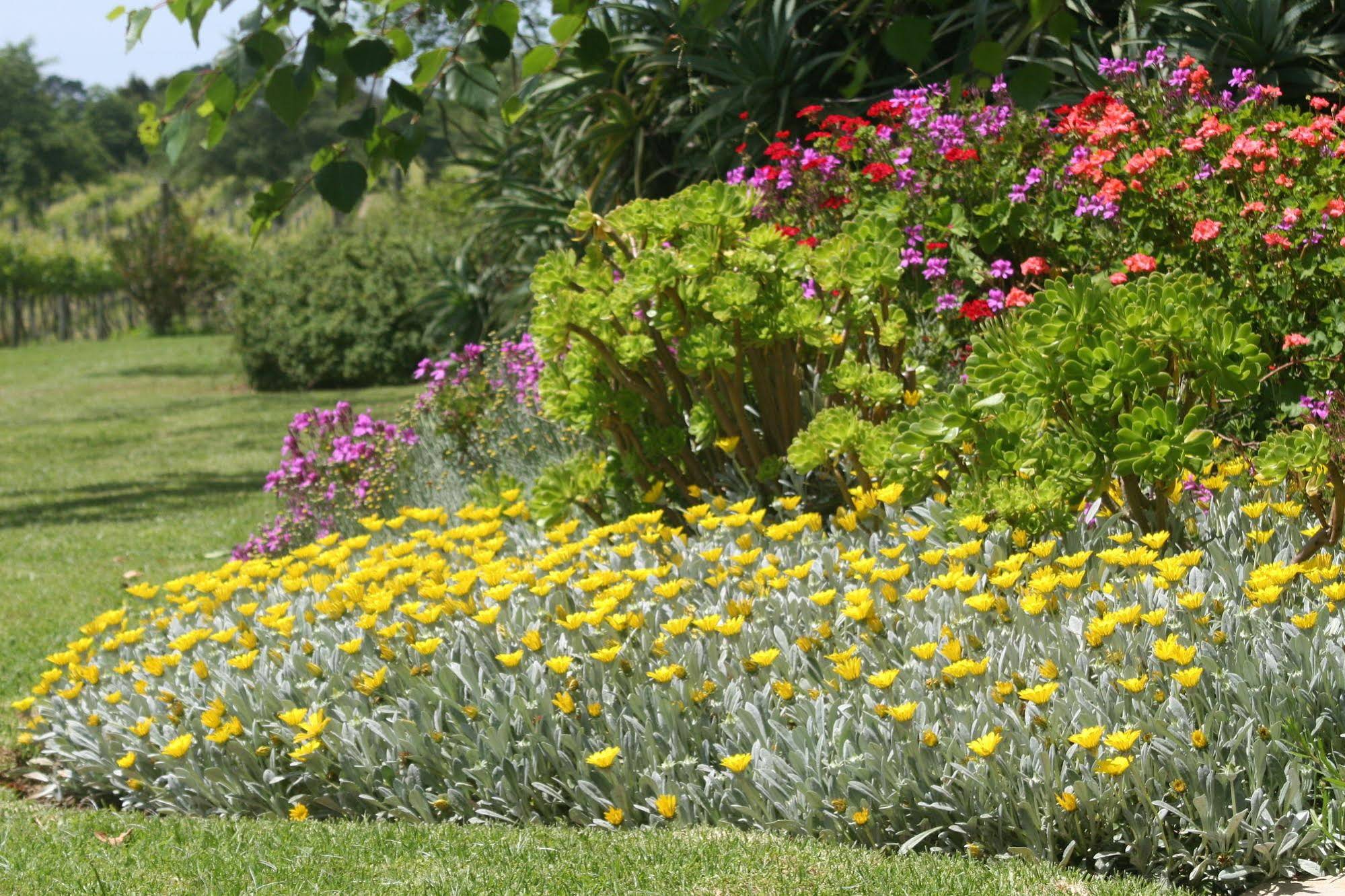 Belfield Farm
