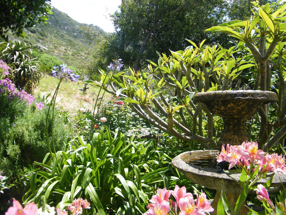 Tranquility Guest House