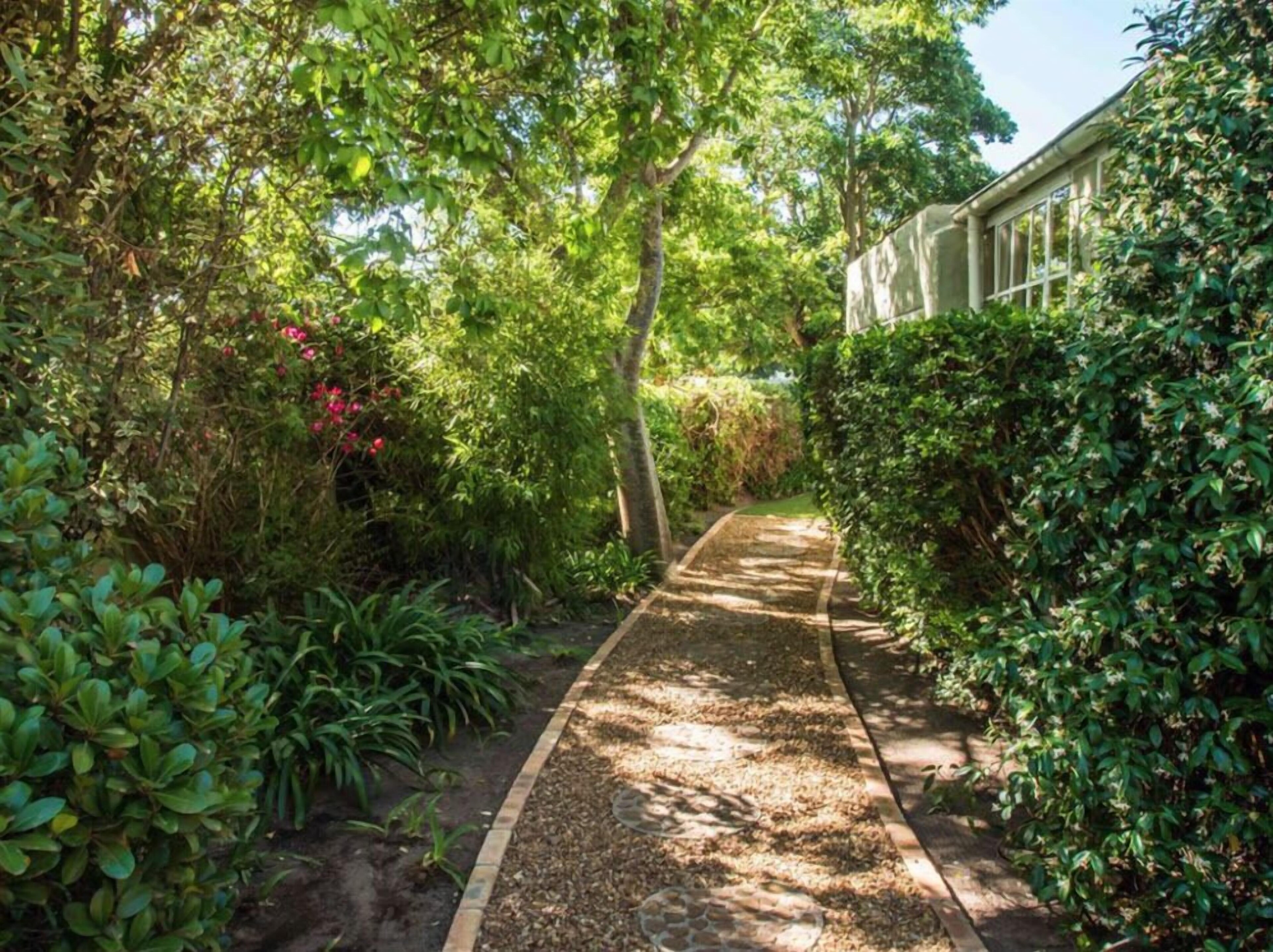 Aloe Corner Franschhoek