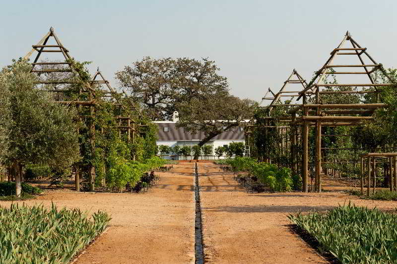 Babylonstoren