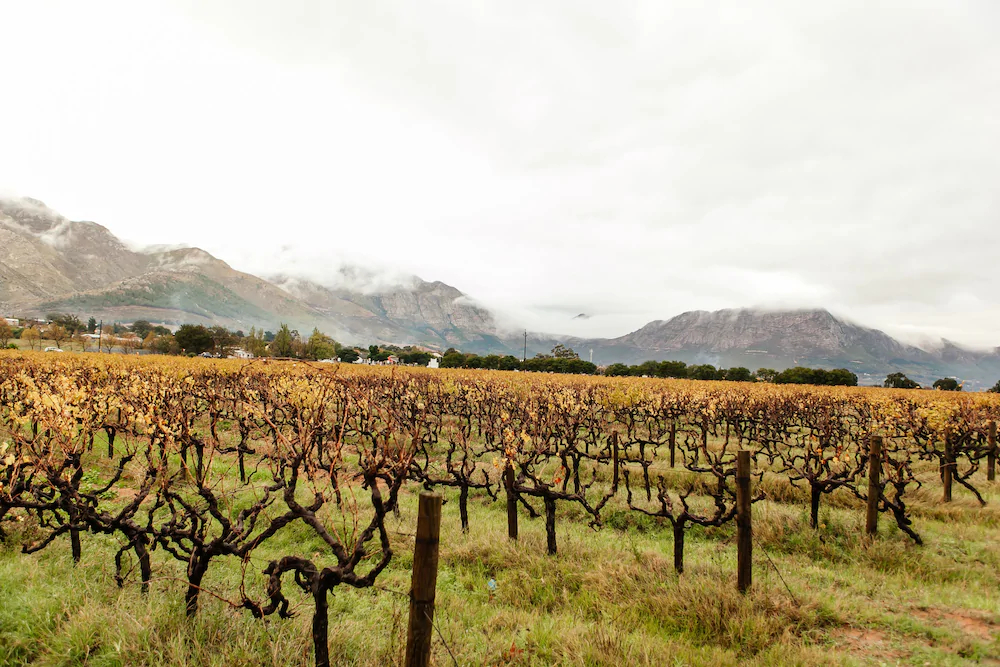 Basse Provence