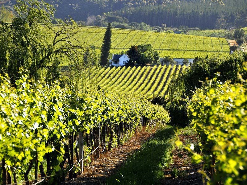 La Fontaine Guest House