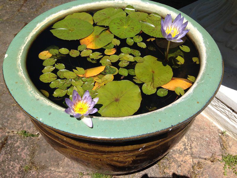 La Fontaine Guest House