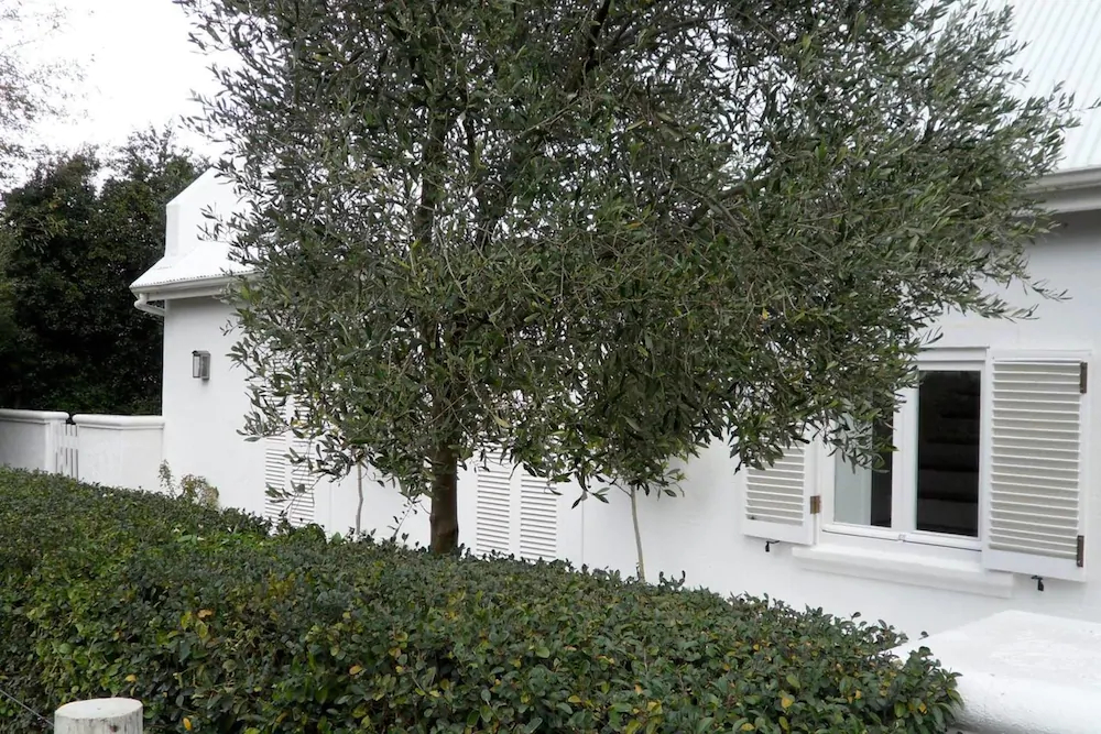 La Maison Blanche