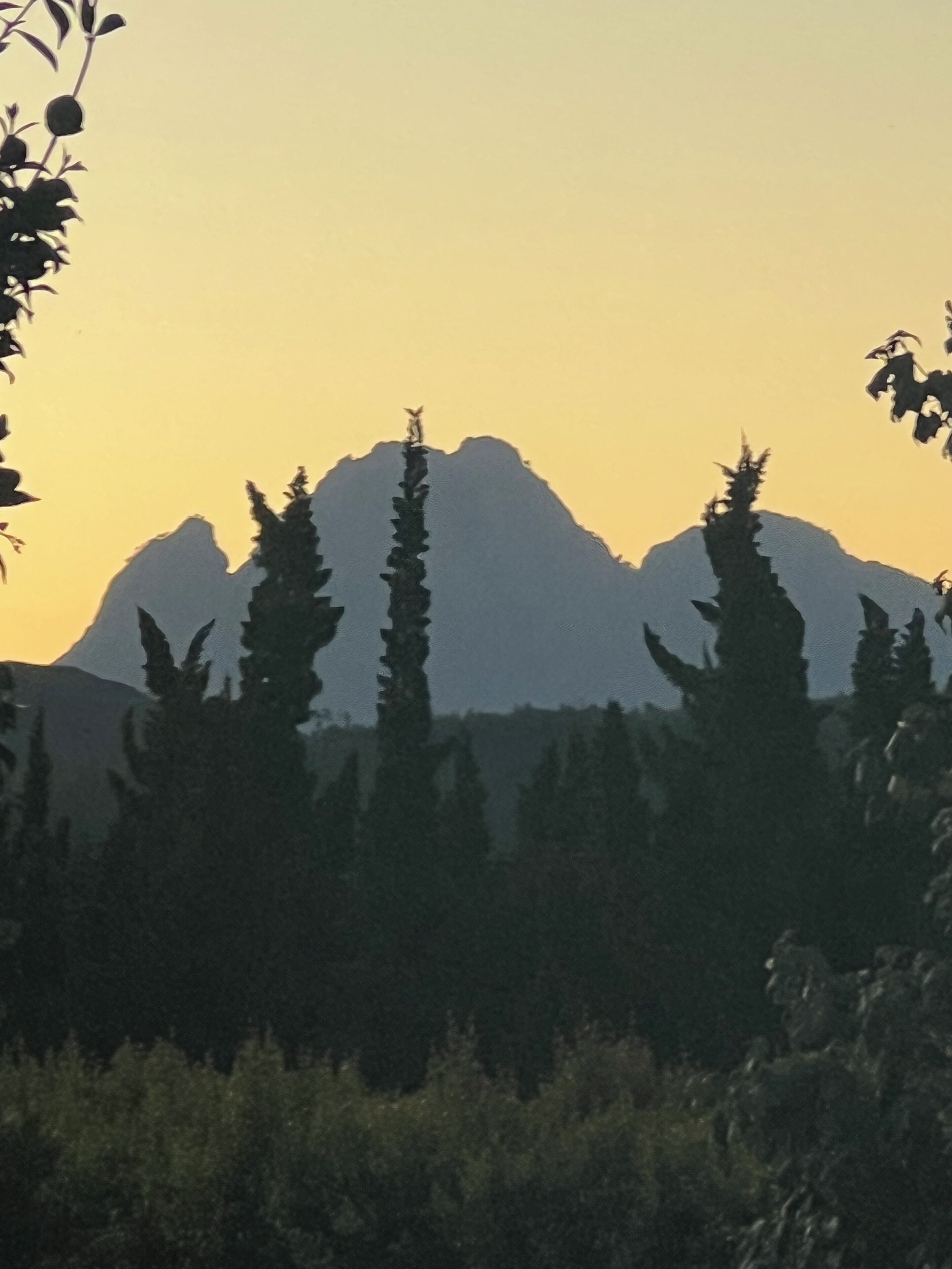 La Paradise Franschhoek