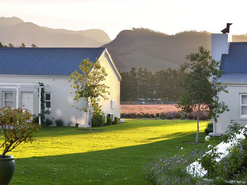 Lavender Farm Guest House