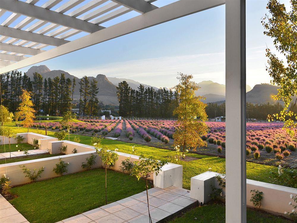 Lavender Farm Guest House